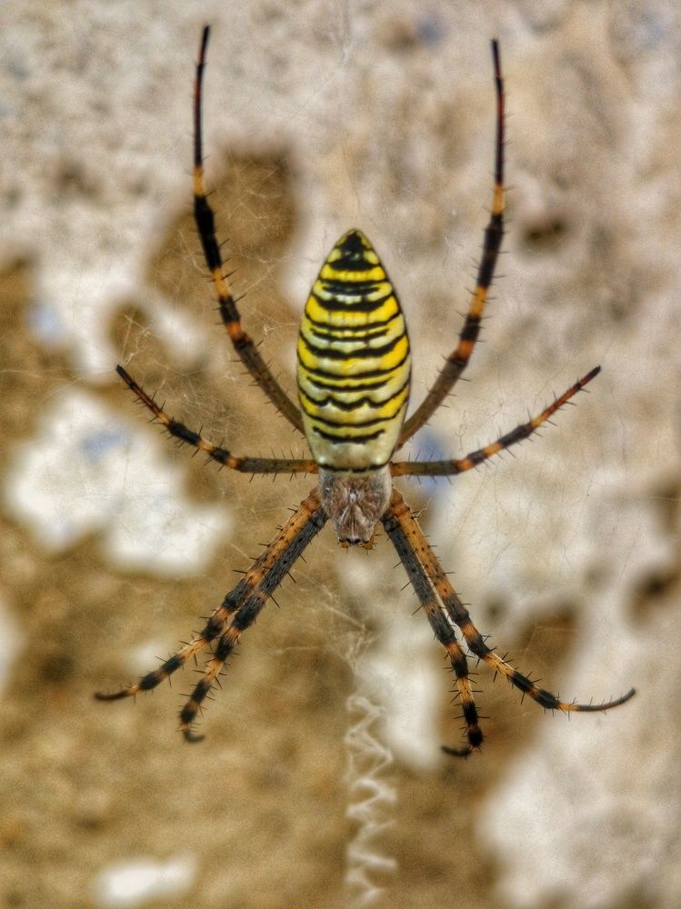 Photograph by Валерий