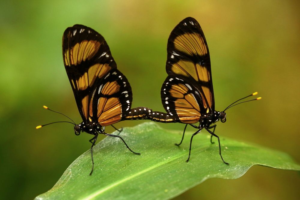 Photograph by Борис Лишневский