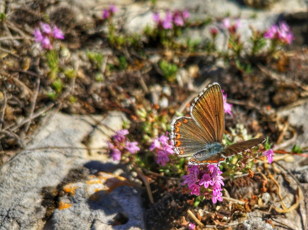 Photograph by Валерий