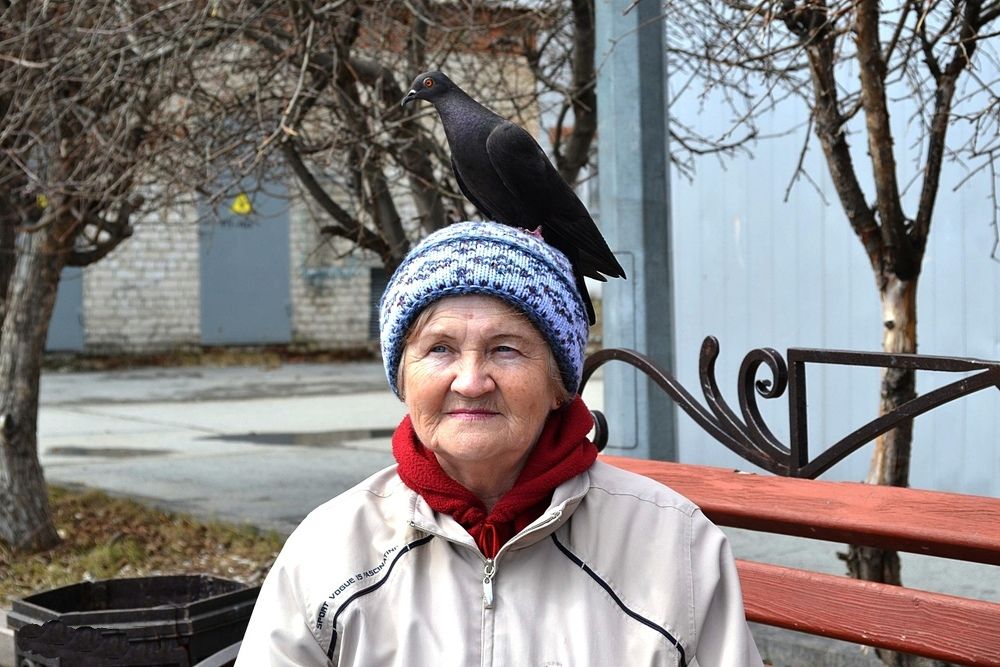 Дружба человека и голубки