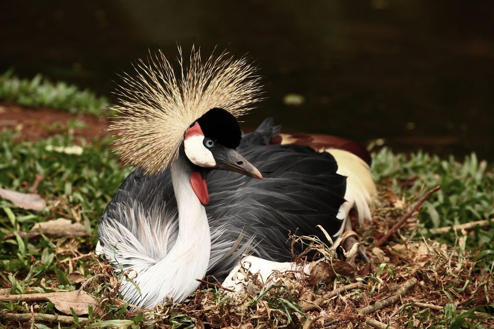 Photograph by Борис Лишневский