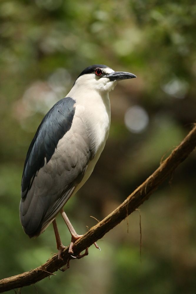 Photograph by Борис Лишневский