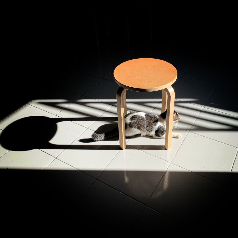 Photograph by raziq abdul samat