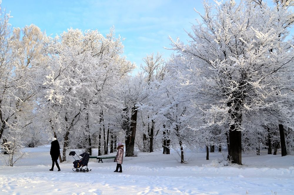 Зимний парк