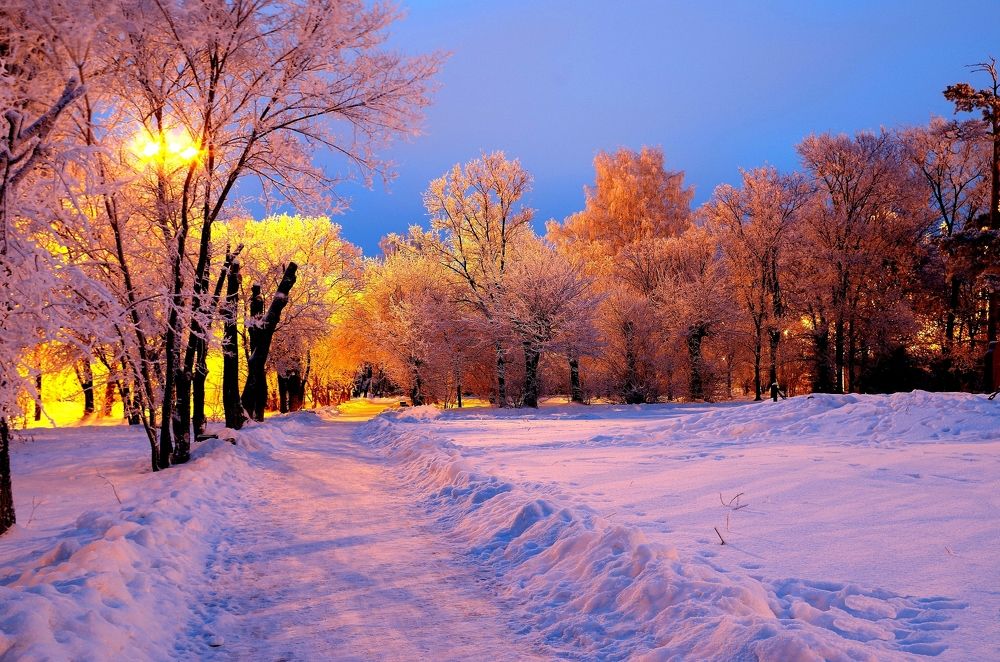 Раннее  утро в парке