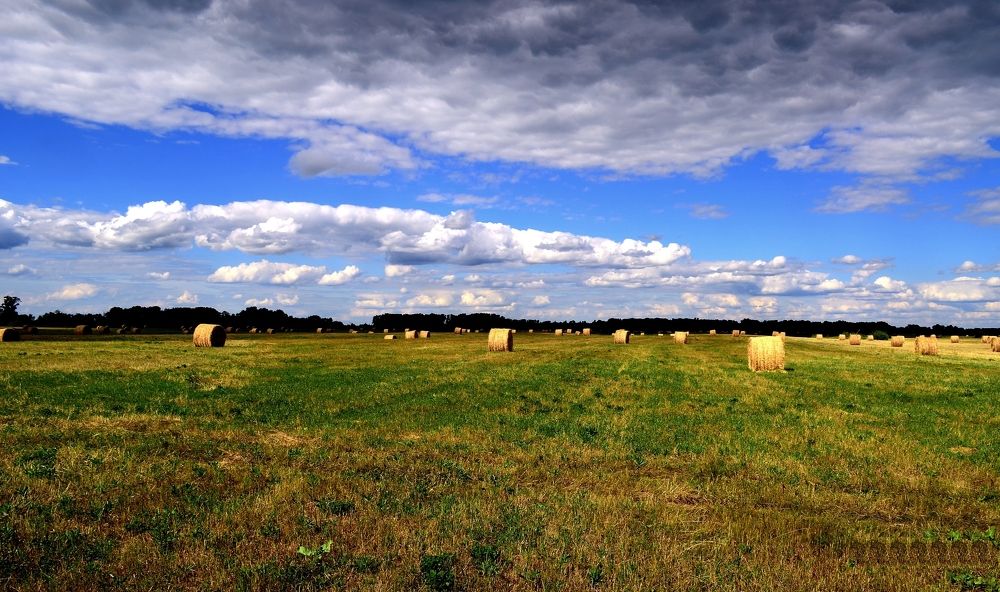 Бескрайние поля