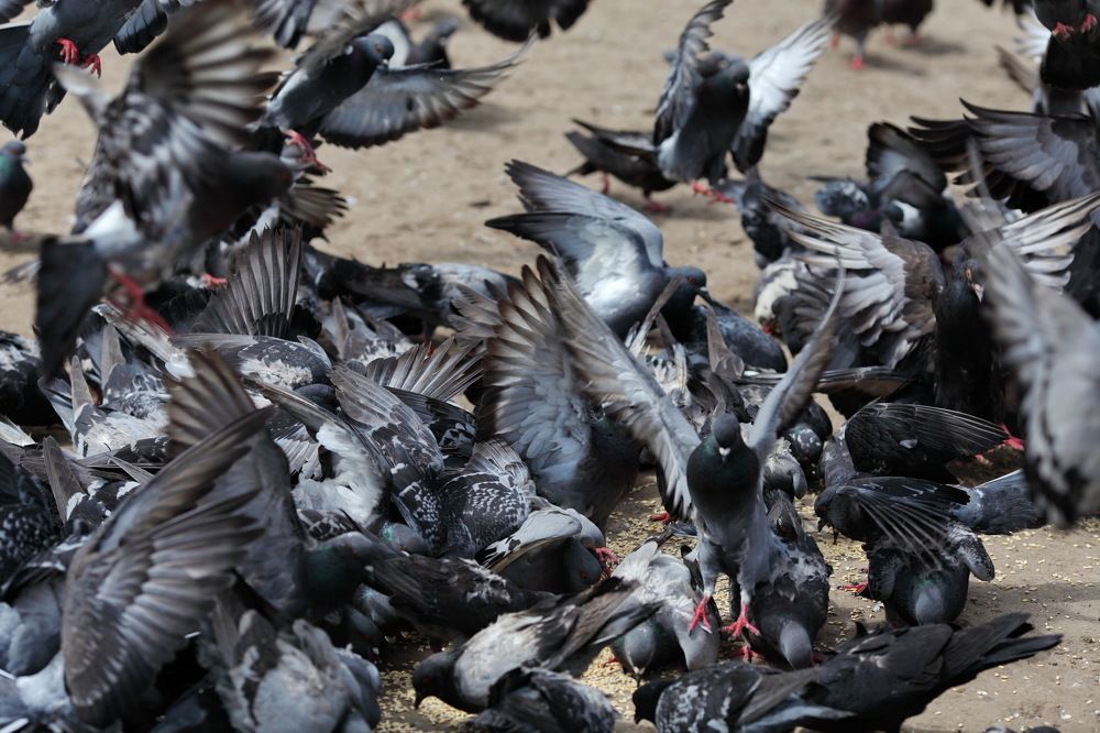 Photograph by Константин Лагоденко