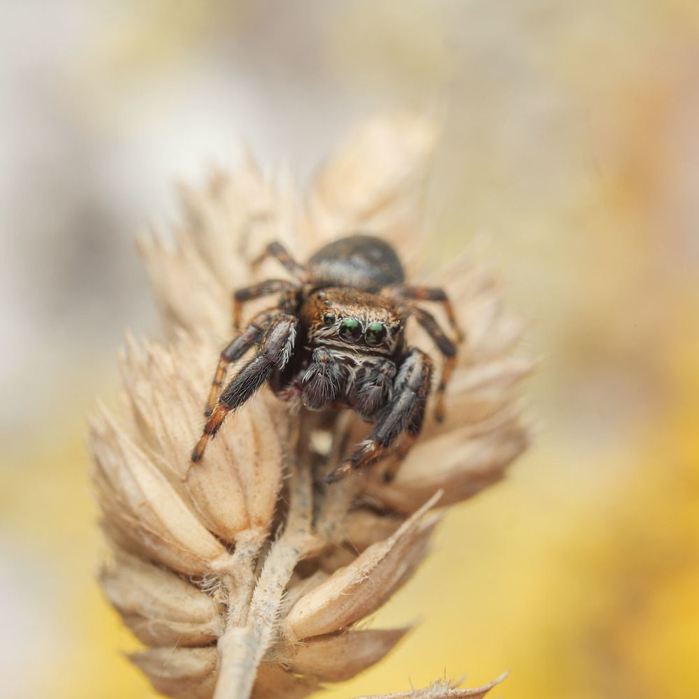 Photograph by Сергей Харитон