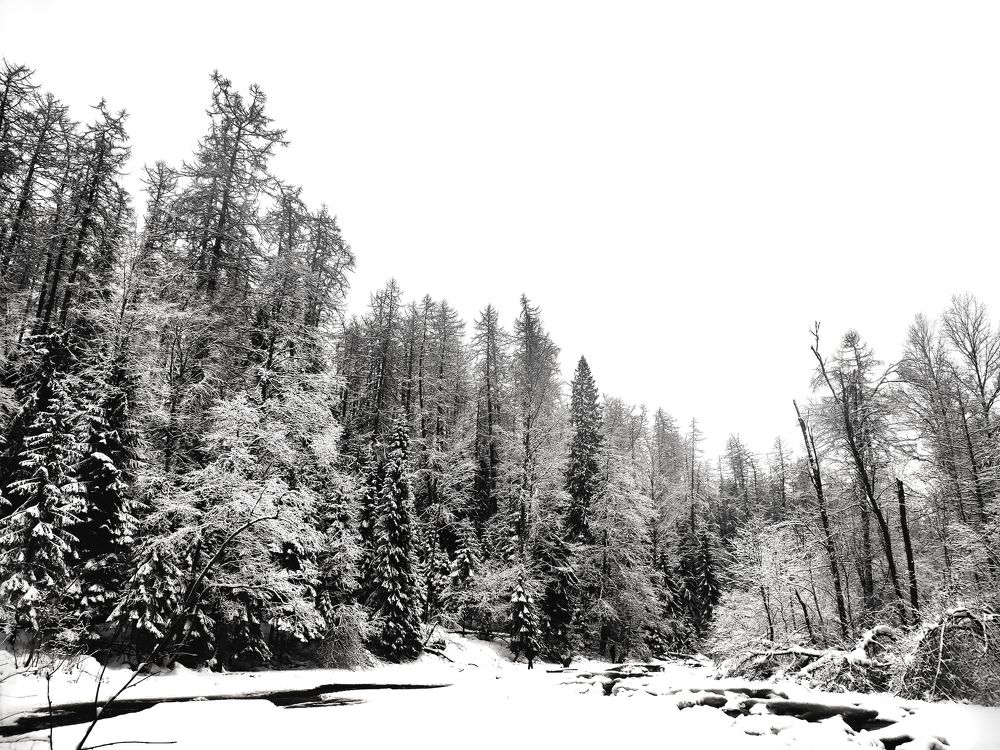 Photograph by Дмитрий Малышев