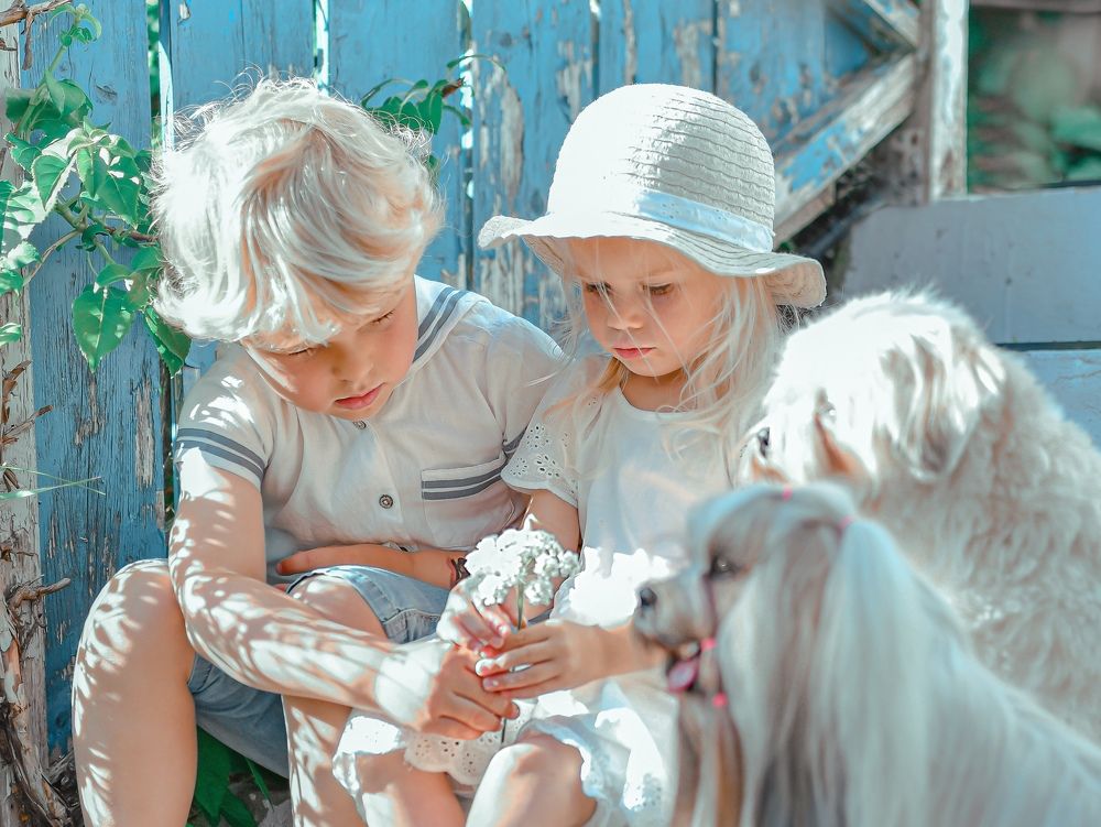 Фотография автора Anna NovaLova