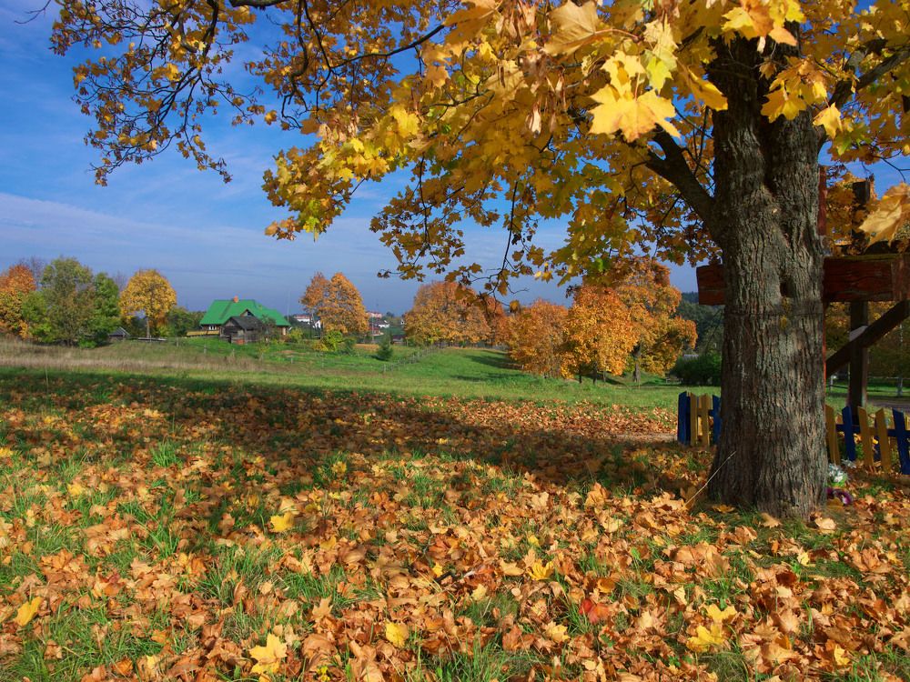 Photograph by Сергей Харитон