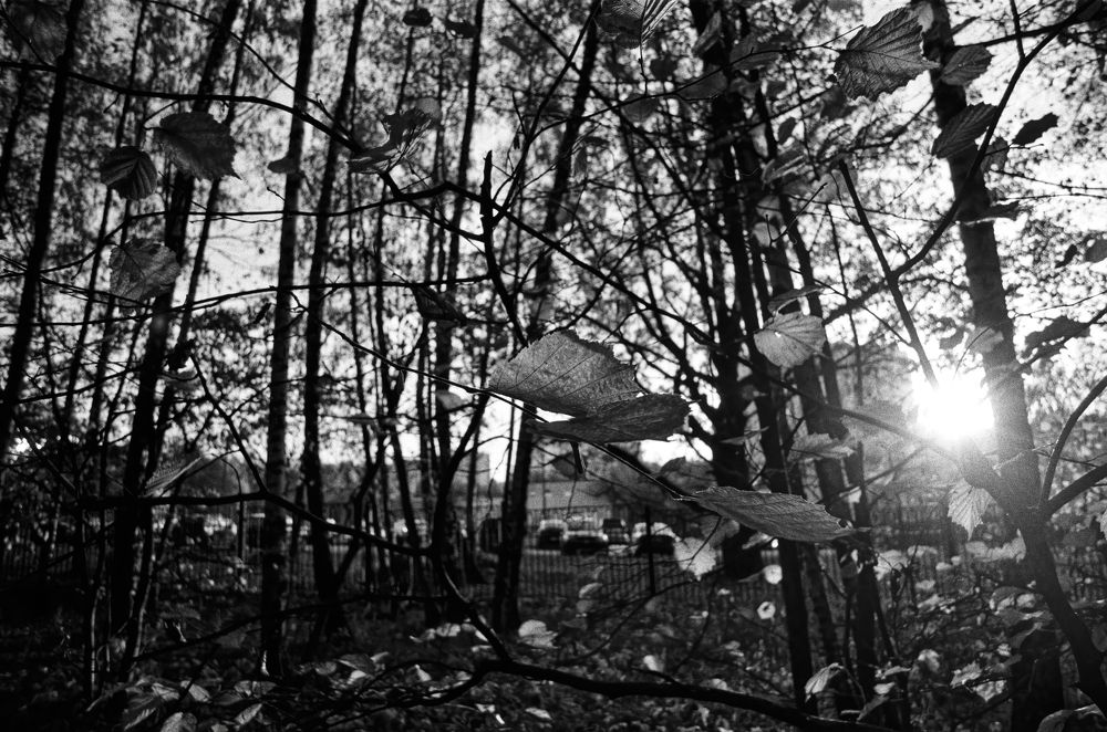 Photograph by Evgeny  Chistov