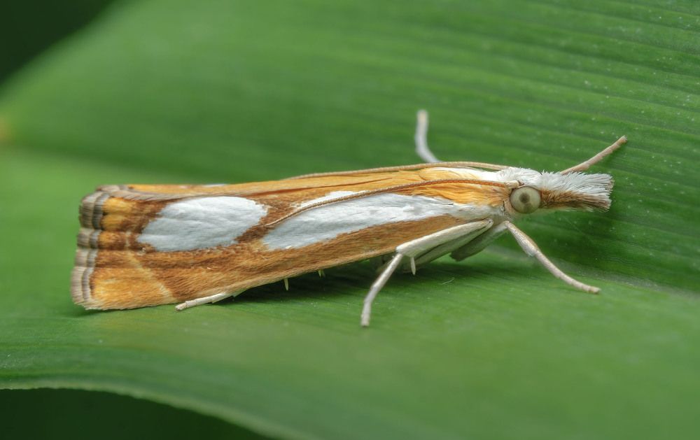 Photograph by Сергей Харитон