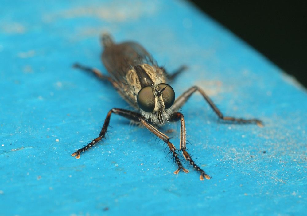 Photograph by Сергей Харитон