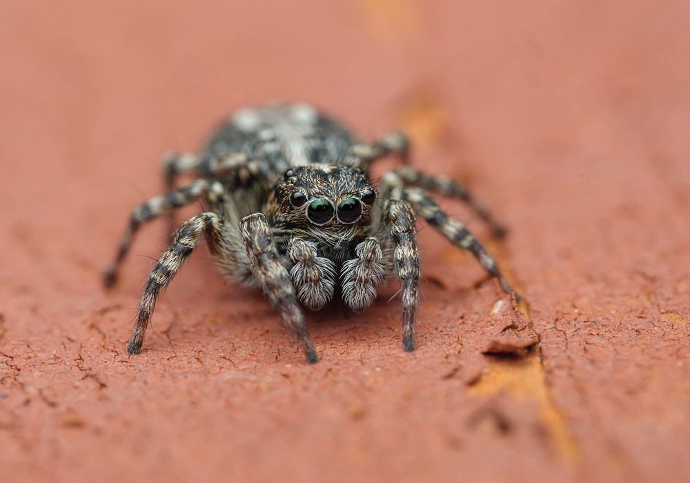 Photograph by Сергей Харитон