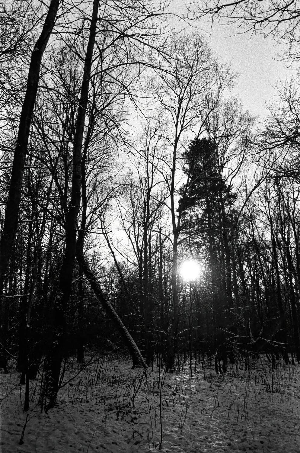 Photo #5671206