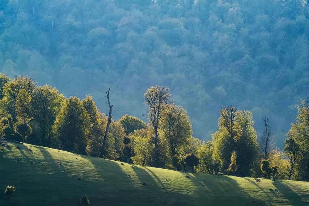 Photograph by Ahmad reza Safarnia