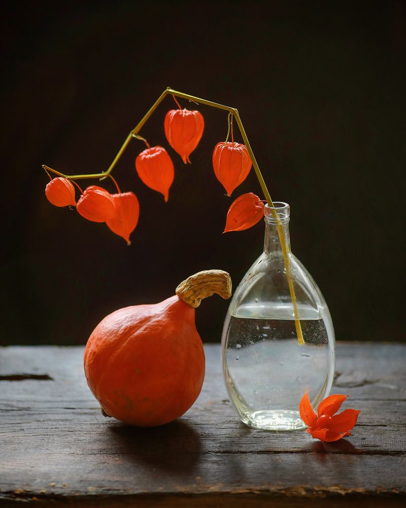 Фотография автора Евгения Грин