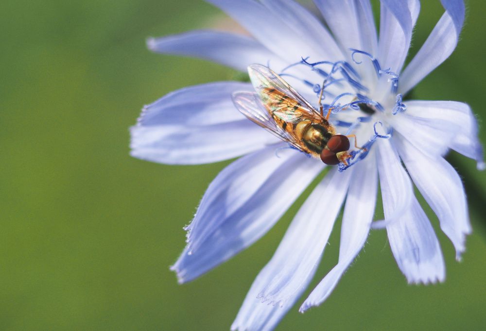 Photograph by Ирина Протченко