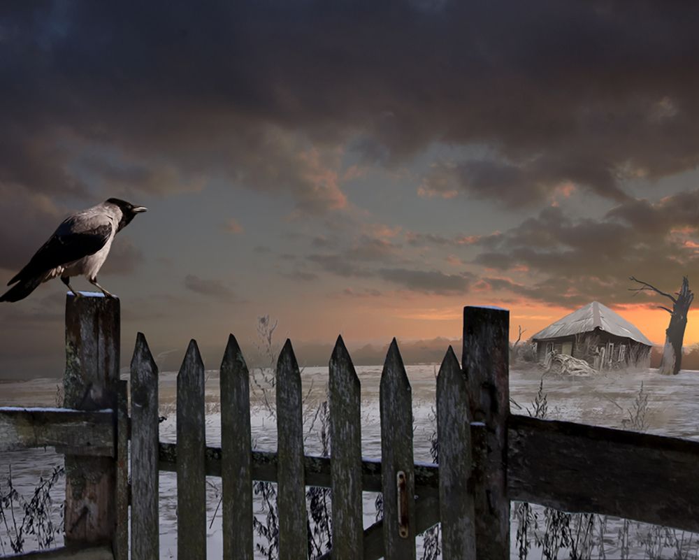 Каркнул Ворон NEVERMORE