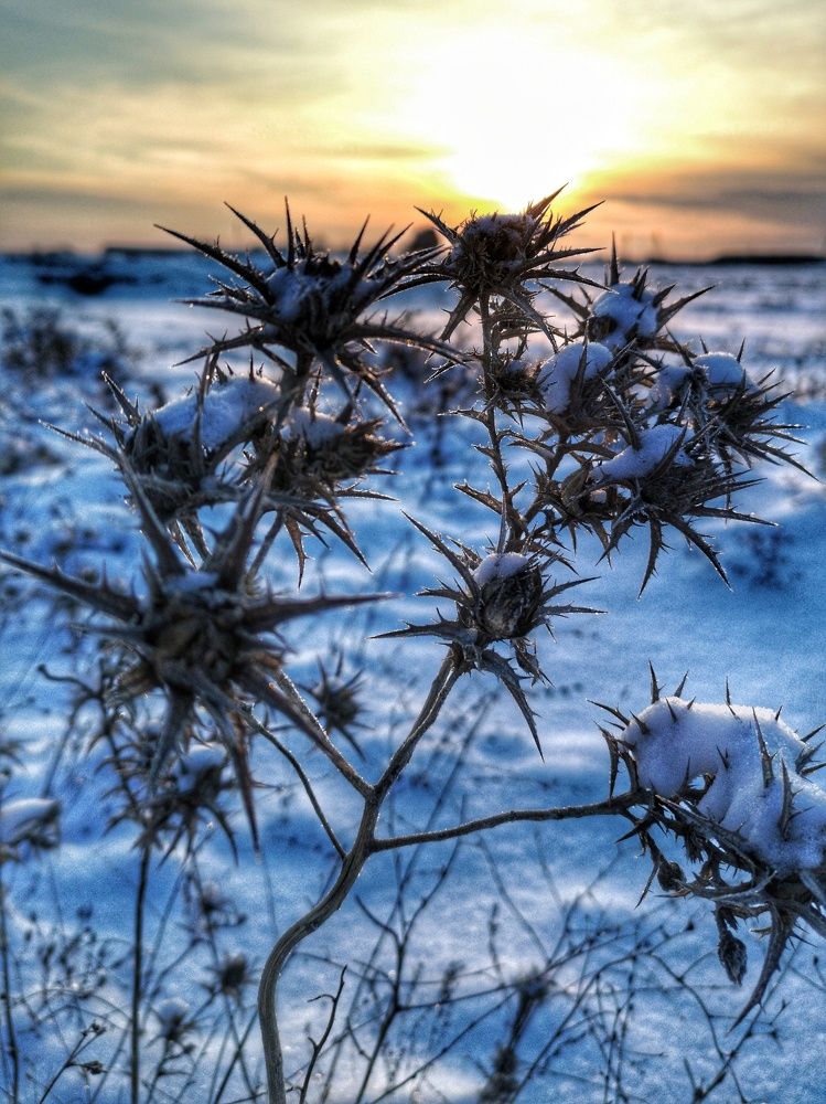 Photograph by Валерий