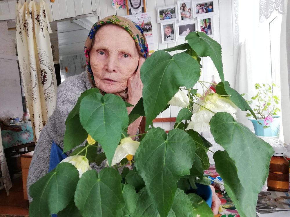 Photograph by Татьяна Александрова