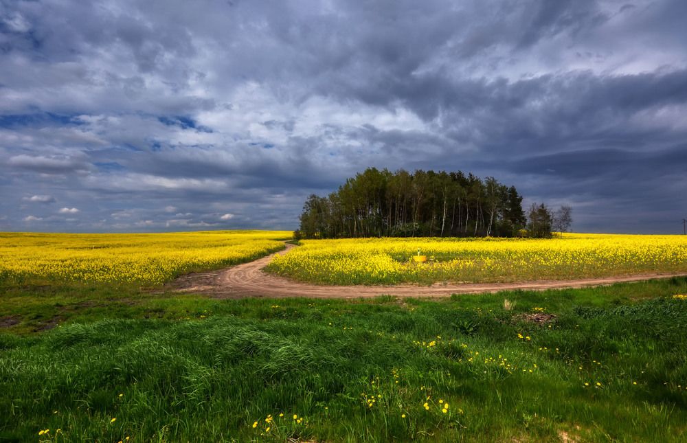 Photograph by Сергей Харитон