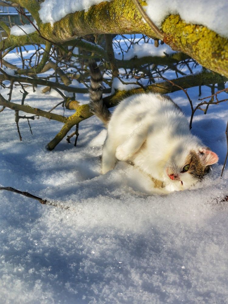 Photograph by Валерий