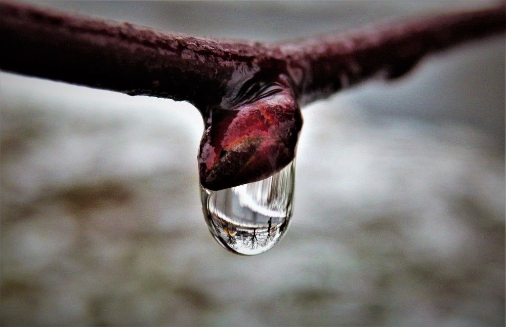 Фотография автора Tiia Vissak