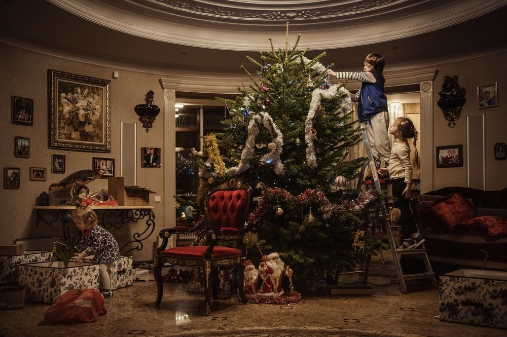 Фотография автора Olga Alekseeva