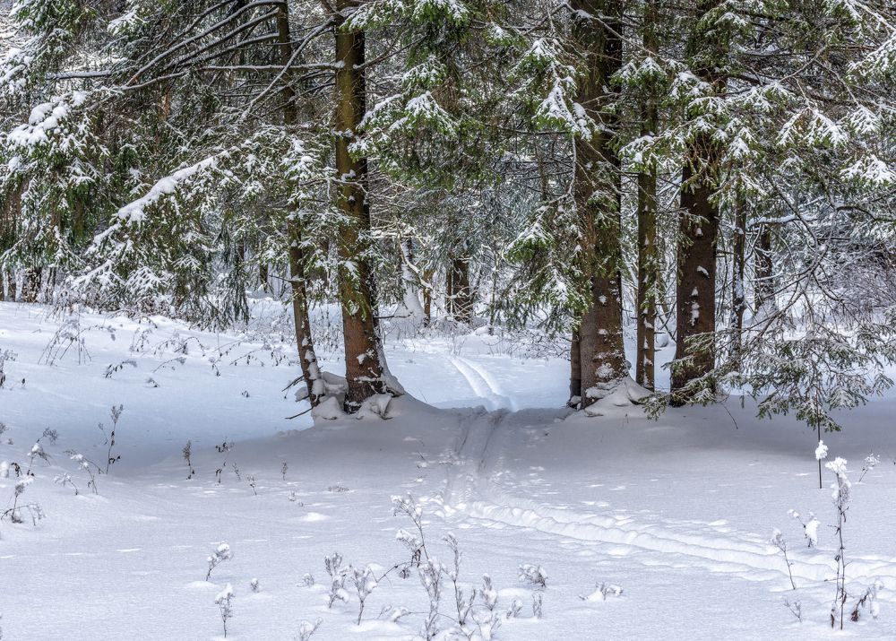 Photograph by Зоя Куренкова