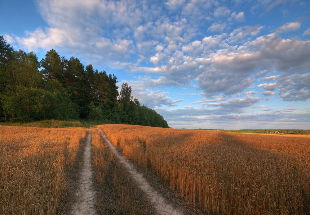 Photograph by Сергей Харитон