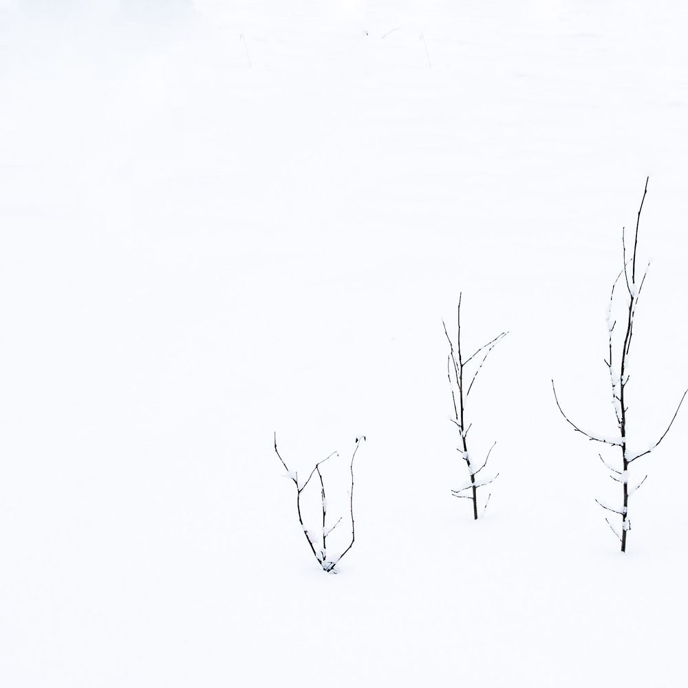 Photograph by Юлия