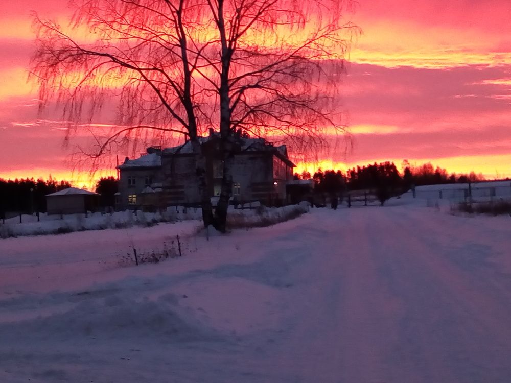 Кровавый рассвет