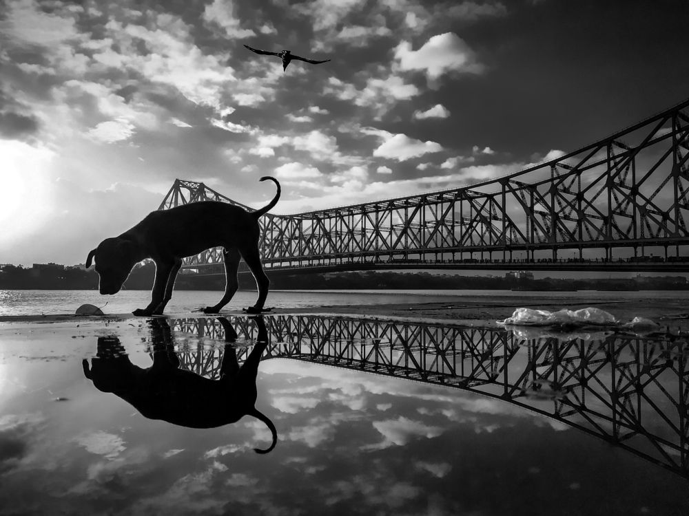 Photograph by Tanay sahoo Sahoo