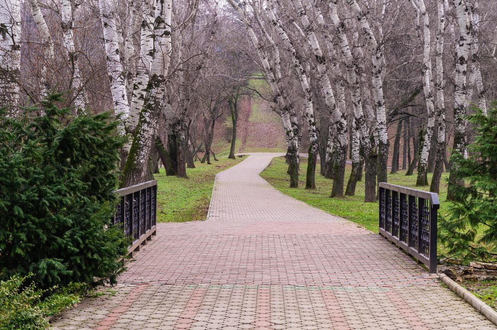 Photograph by Олег Ершов