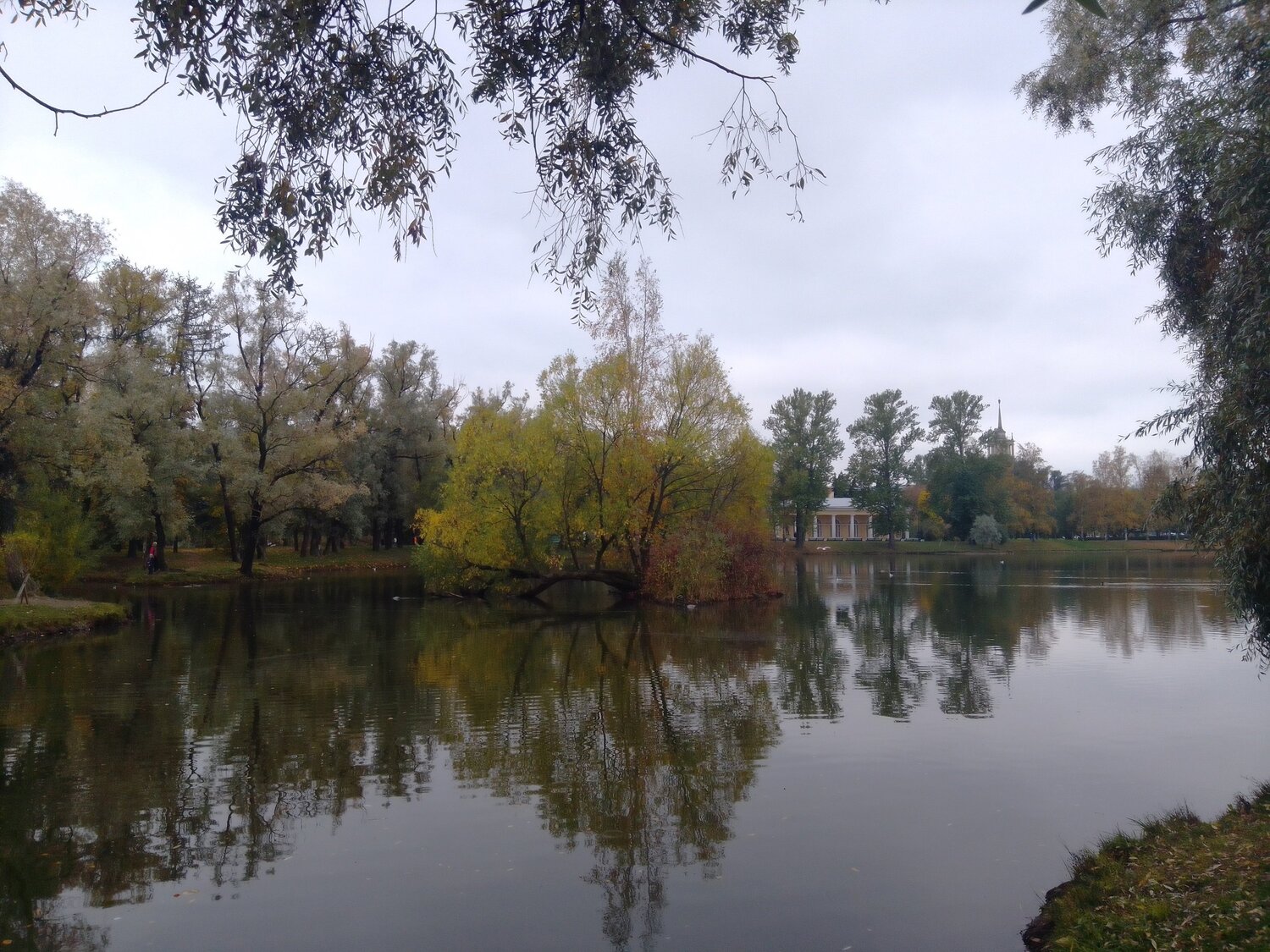 Photo #5671675