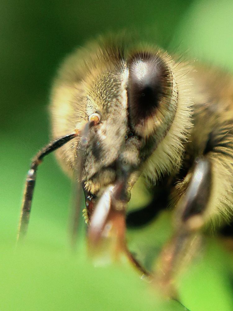 Фотография автора Thomas Engida