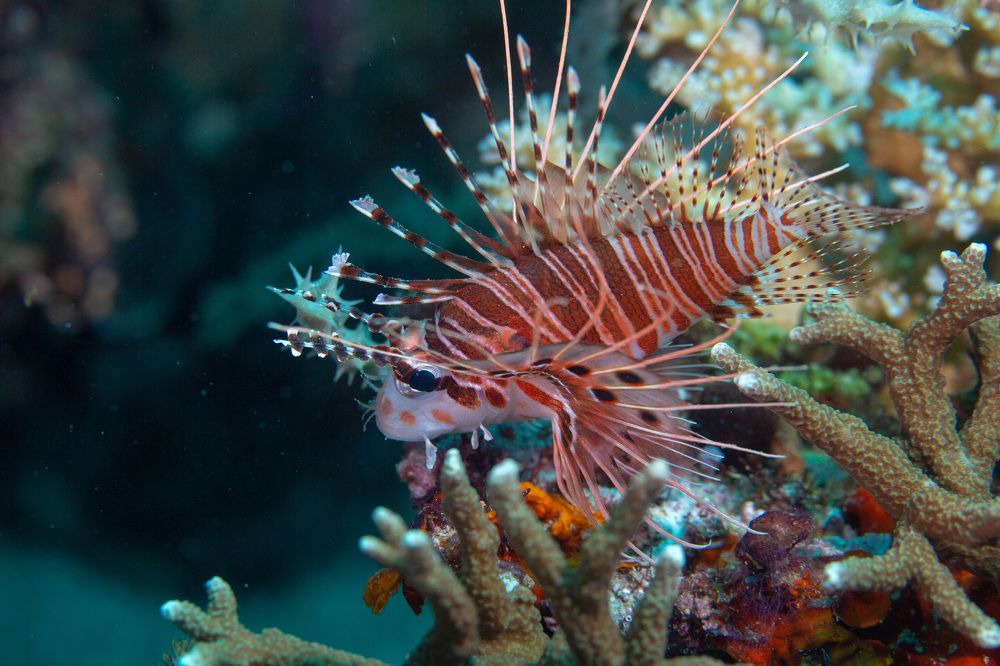 Photograph by Андрей Мальков