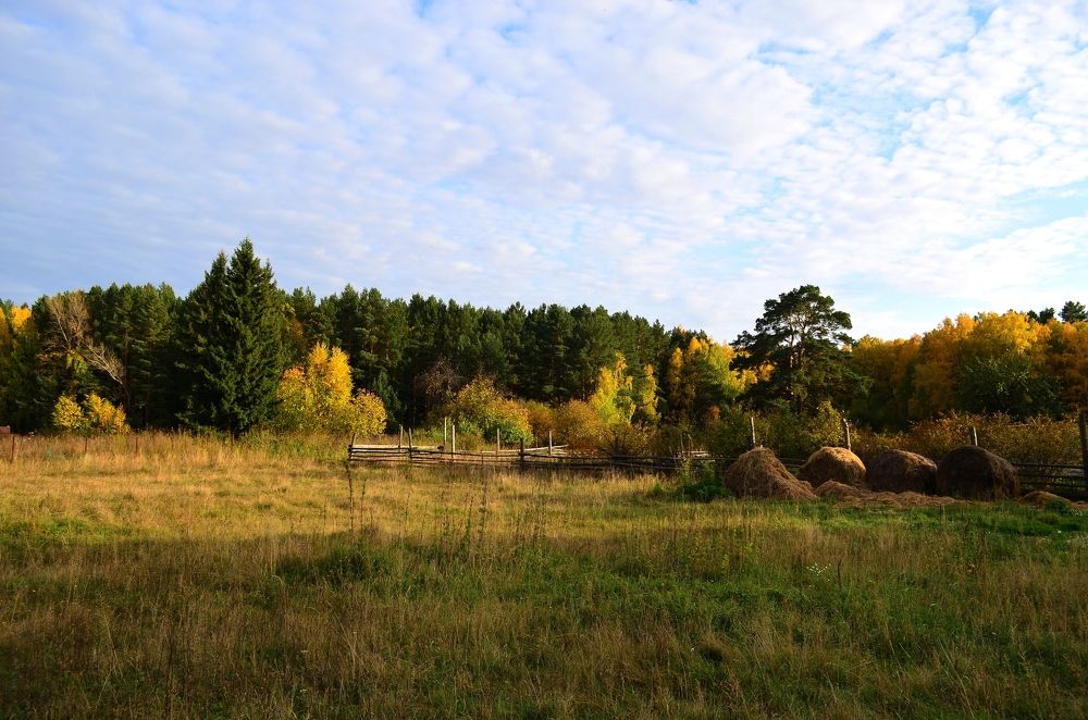 Деревенская жизнь