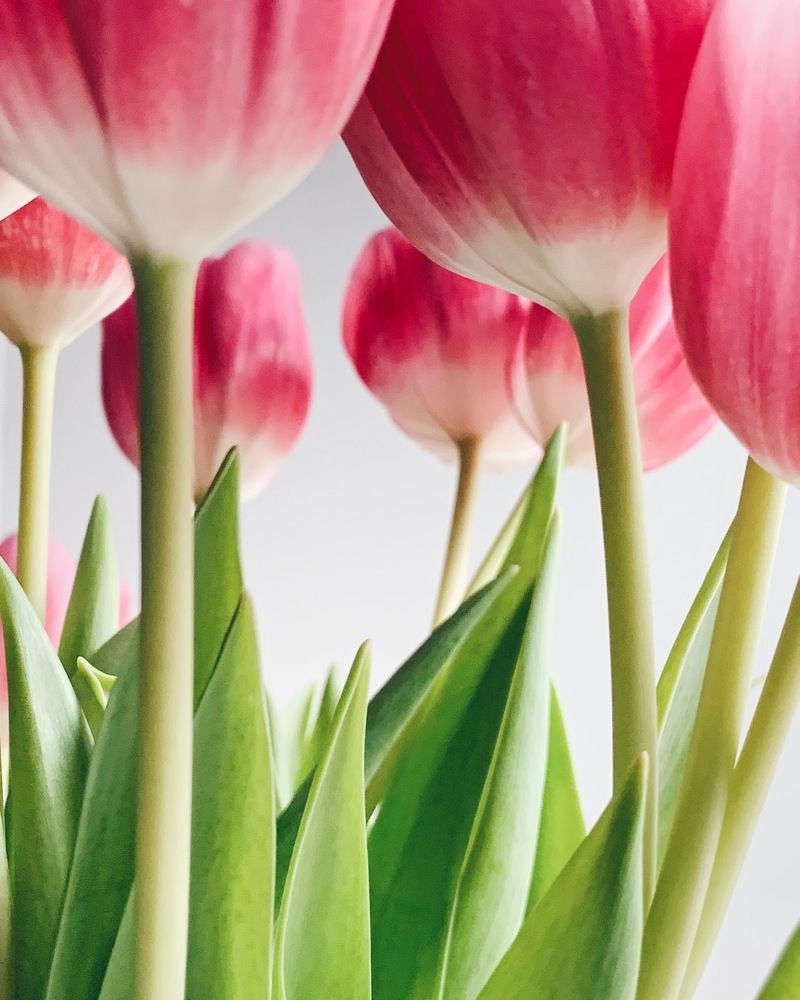 Photograph by Мария