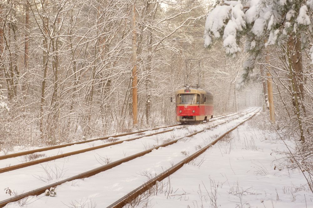 Photograph by Анна Пикаленко