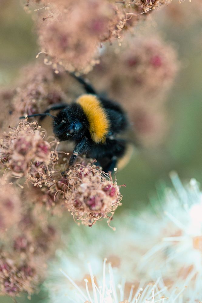 Photograph by Aleksandra Bogdanova