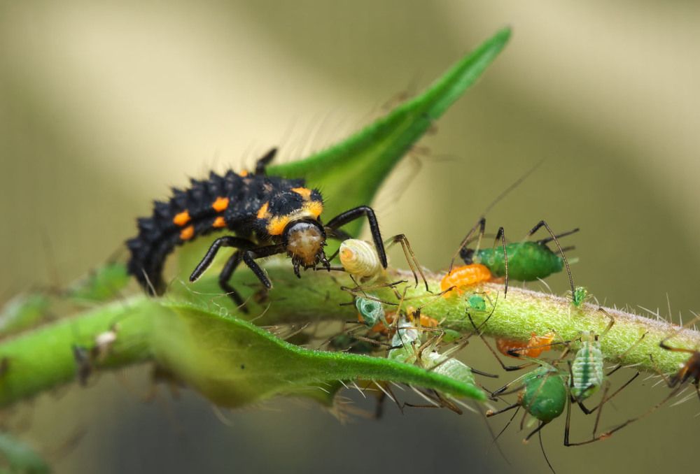 Photograph by Сергей Харитон