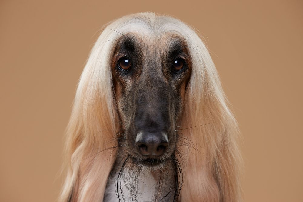 Photograph by Лана Полякова