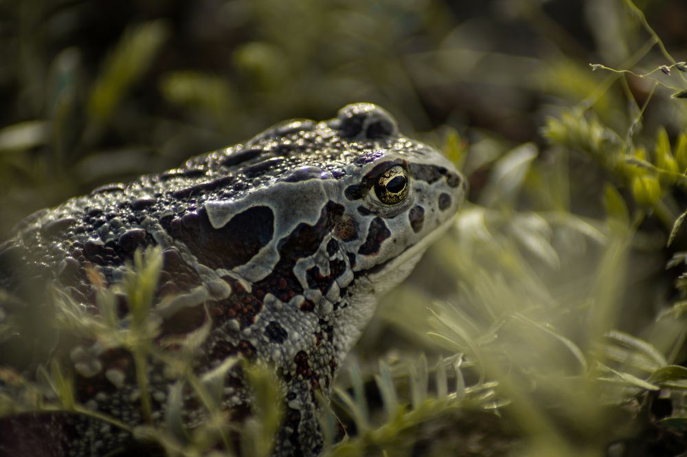 Photograph by Анастасия Пельменёва