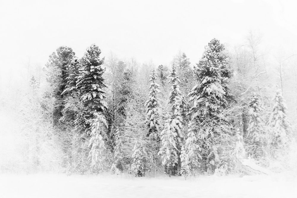 Photograph by Ирина Степанова