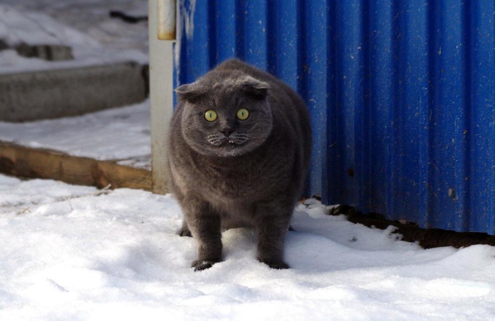 Photograph by Михаил Курзанцев