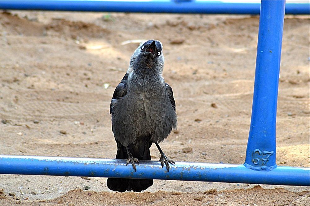 Удивление..