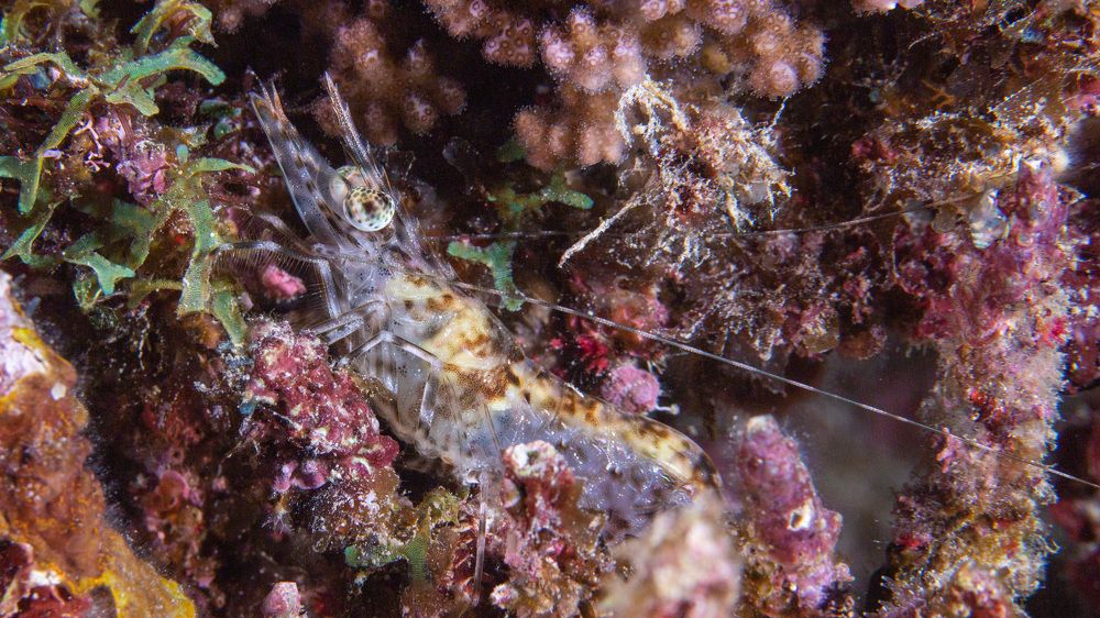 Photograph by Андрей Мальков